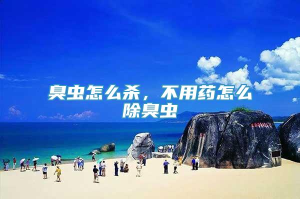 臭蟲怎么殺，不用藥怎么除臭蟲