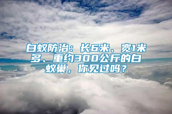 白蟻防治：長6米、寬1米多、重約300公斤的白蟻巢，你見過嗎？