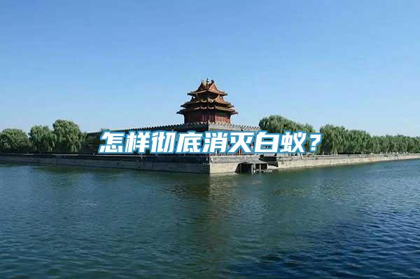 怎樣徹底消滅白蟻？