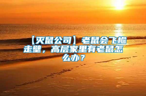 【滅鼠公司】老鼠會飛檐走壁，高層家里有老鼠怎么辦？