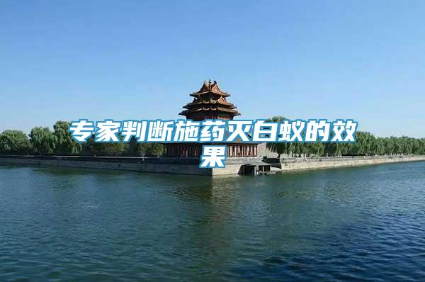 專家判斷施藥滅白蟻的效果
