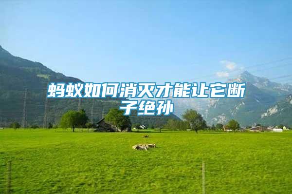 螞蟻如何消滅才能讓它斷子絕孫