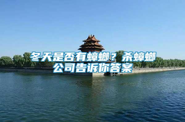 冬天是否有蟑螂？殺蟑螂公司告訴你答案