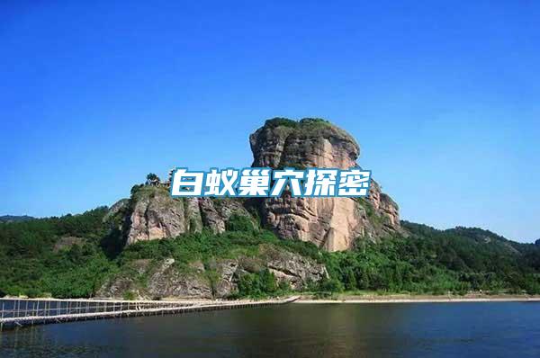 白蟻巢穴探密