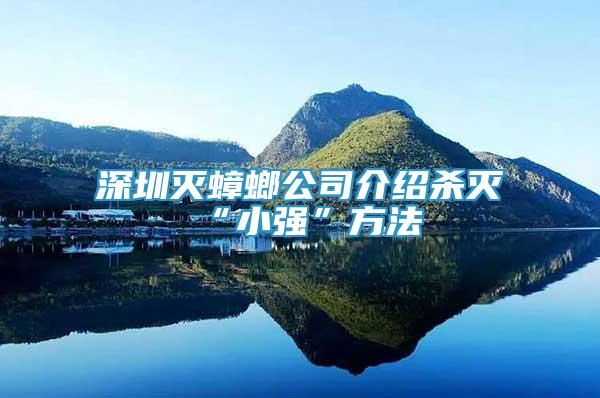 深圳滅蟑螂公司介紹殺滅“小強”方法