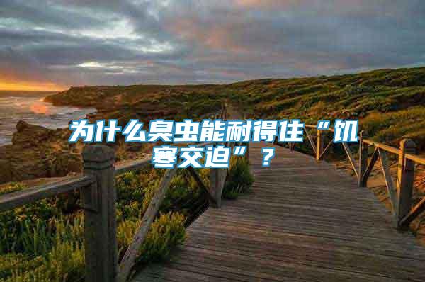 為什么臭蟲能耐得住“饑寒交迫”？