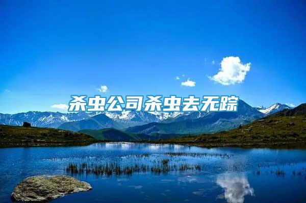 殺蟲公司殺蟲去無蹤