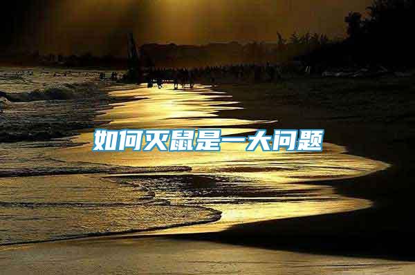 如何滅鼠是一大問題