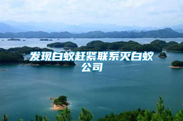 發(fā)現(xiàn)白蟻趕緊聯(lián)系滅白蟻公司
