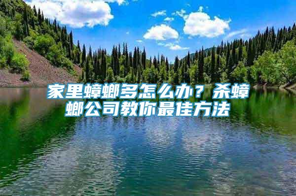 家里蟑螂多怎么辦？殺蟑螂公司教你最佳方法