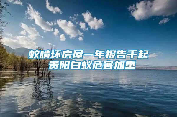 蟻啃壞房屋一年報(bào)告千起 貴陽(yáng)白蟻危害加重