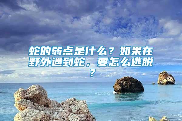 蛇的弱點(diǎn)是什么？如果在野外遇到蛇，要怎么逃脫？