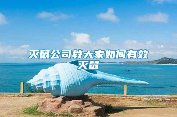 滅鼠公司教大家如何有效滅鼠