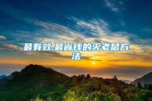 最有效,最省錢的滅老鼠方法