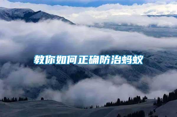 教你如何正確防治螞蟻