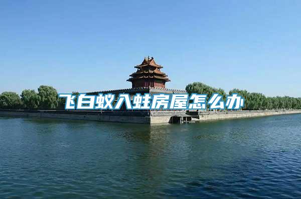 飛白蟻入蛀房屋怎么辦