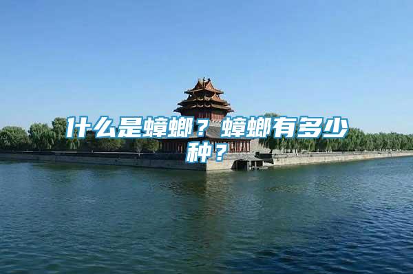 什么是蟑螂？蟑螂有多少種？