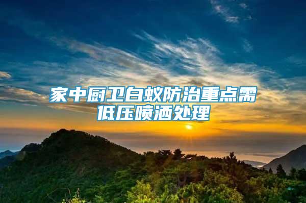 家中廚衛(wèi)白蟻防治重點需低壓噴灑處理