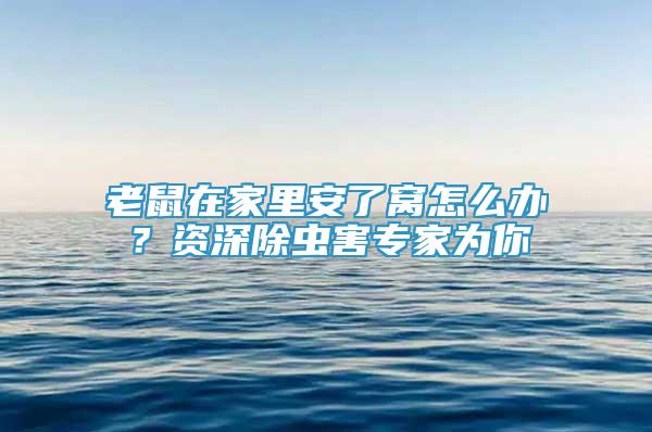 老鼠在家里安了窩怎么辦？資深除蟲害專家為你