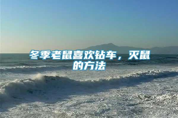 冬季老鼠喜歡鉆車，滅鼠的方法