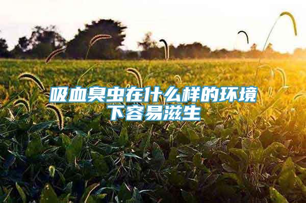 吸血臭蟲在什么樣的環(huán)境下容易滋生