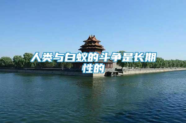 人類與白蟻的斗爭是長期性的