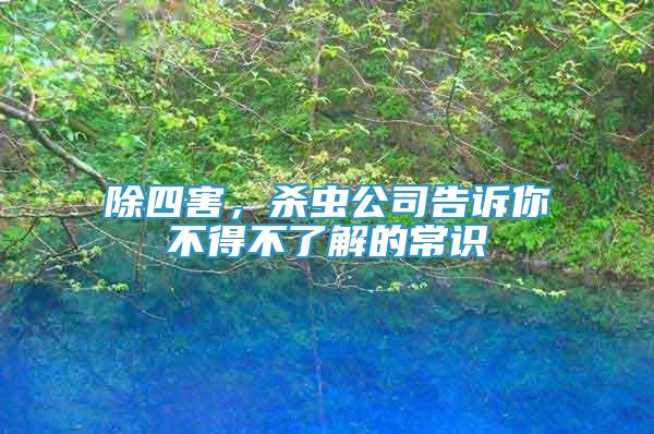 除四害，殺蟲公司告訴你不得不了解的常識