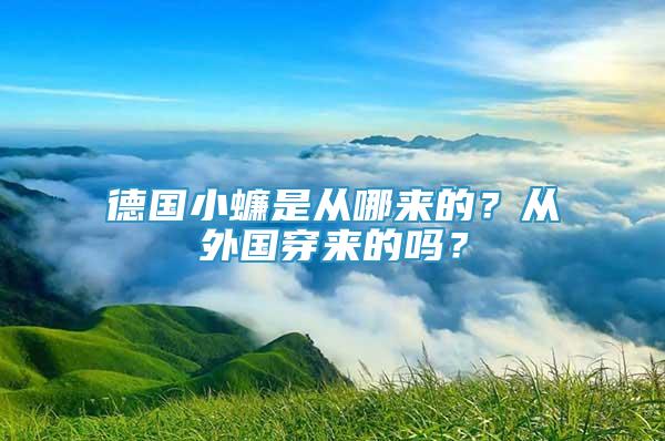 德國小蠊是從哪來的？從外國穿來的嗎？