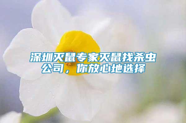 深圳滅鼠專家滅鼠找殺蟲公司，你放心地選擇