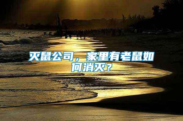 滅鼠公司，家里有老鼠如何消滅？