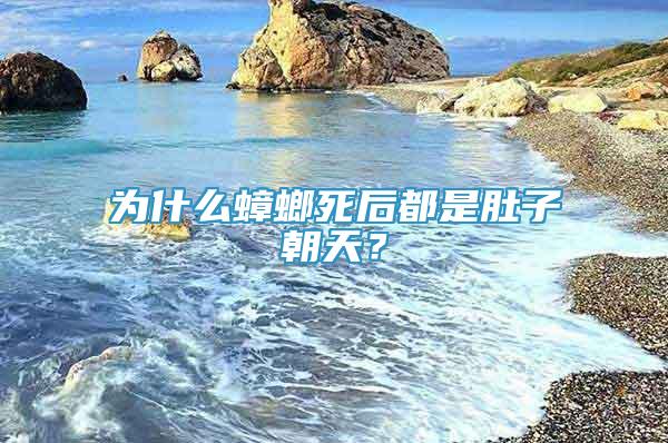 為什么蟑螂死后都是肚子朝天？