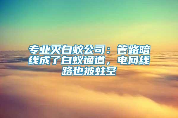 專業(yè)滅白蟻公司：管路暗線成了白蟻通道，電網(wǎng)線路也被蛀空