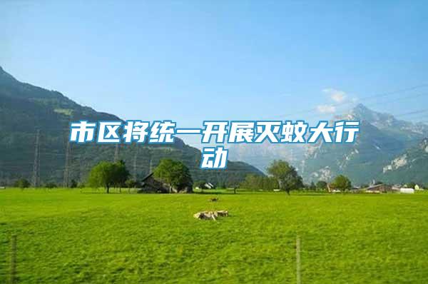 市區(qū)將統(tǒng)一開展滅蚊大行動