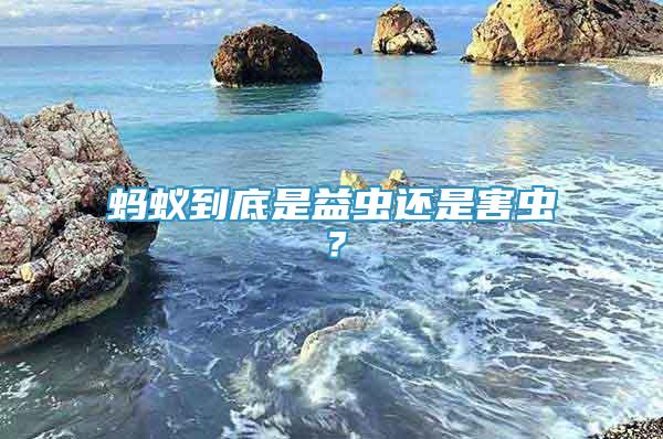 螞蟻到底是益蟲(chóng)還是害蟲(chóng)？