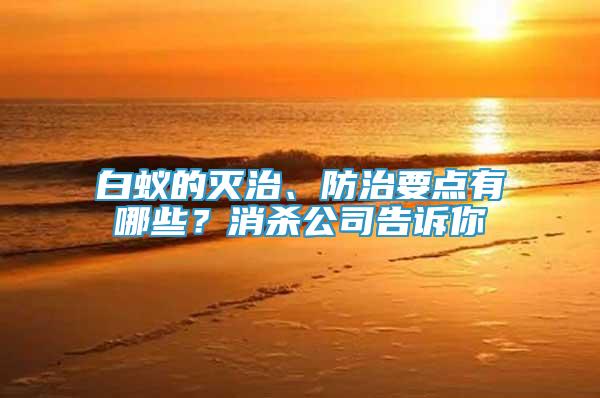白蟻的滅治、防治要點(diǎn)有哪些？消殺公司告訴你