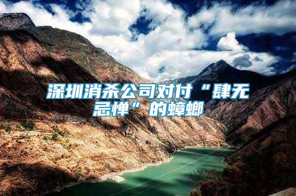 深圳消殺公司對(duì)付“肆無忌憚”的蟑螂