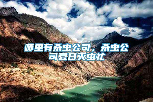 哪里有殺蟲公司，殺蟲公司夏日滅蟲忙