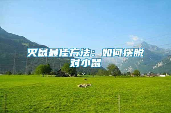滅鼠最佳方法：如何擺脫對小鼠