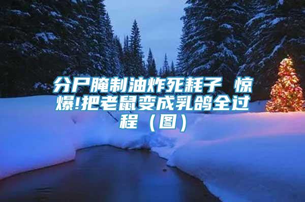 分尸腌制油炸死耗子 驚爆!把老鼠變成乳鴿全過(guò)程（圖）