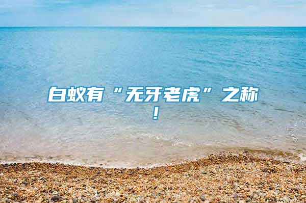 白蟻有“無牙老虎”之稱！