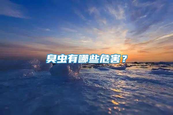 臭蟲有哪些危害？