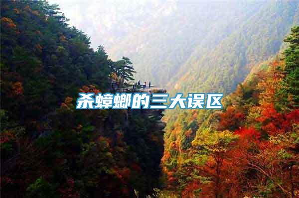 殺蟑螂的三大誤區(qū)