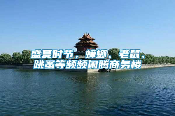 盛夏時(shí)節(jié)，蟑螂、老鼠、跳蚤等頻頻鬧騰商務(wù)樓