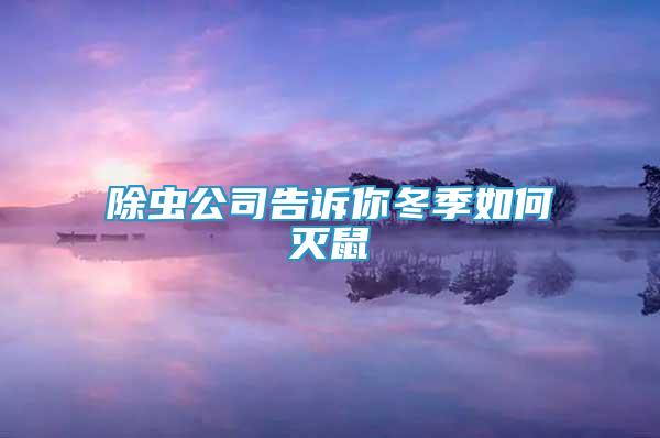 除蟲公司告訴你冬季如何滅鼠
