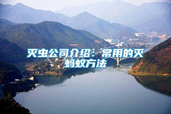 滅蟲公司介紹：常用的滅螞蟻方法