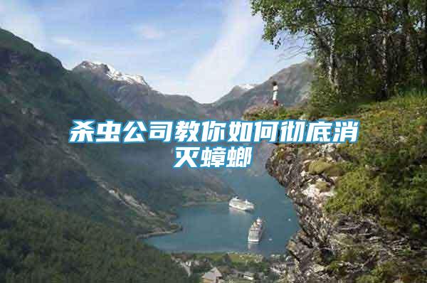 殺蟲公司教你如何徹底消滅蟑螂