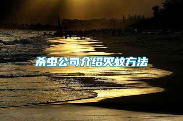 殺蟲(chóng)公司介紹滅蚊方法