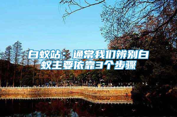 白蟻站：通常我們辨別白蟻主要依靠3個(gè)步驟