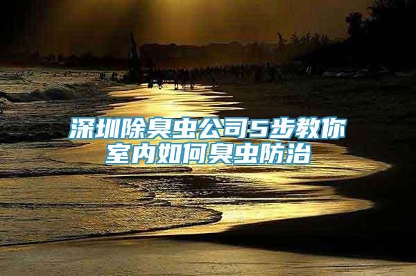深圳除臭蟲公司5步教你室內(nèi)如何臭蟲防治