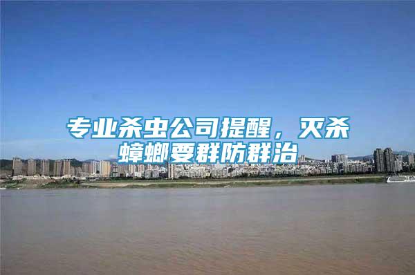 專業(yè)殺蟲(chóng)公司提醒，滅殺蟑螂要群防群治